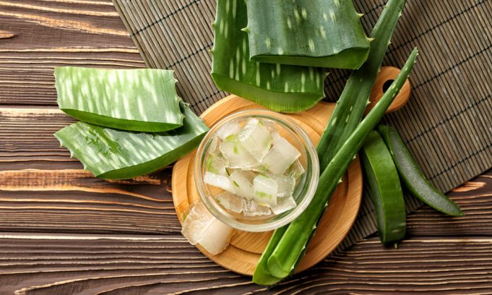aloe vera for beard aloe vera for beard