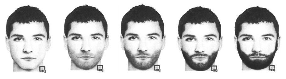 stubble attractiveness study