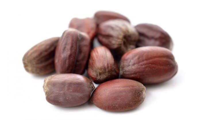 jojoba oil for beard featured jojoba oil for beard featured