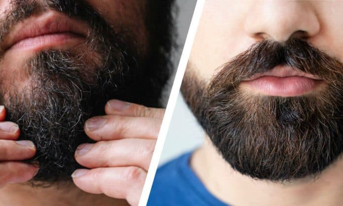 stop beard hairs from sticking out featured stop beard hairs from sticking out featured