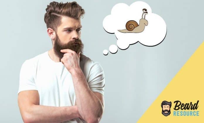 why is my beard growing slow featured image why is my beard growing slow featured image